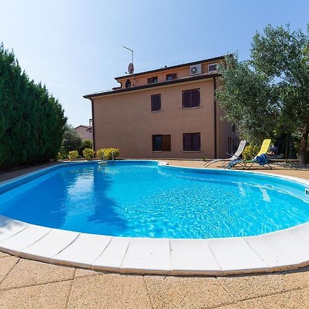 Apartments With A Swimming Pool Novigrad - 7078 Zewnętrze zdjęcie