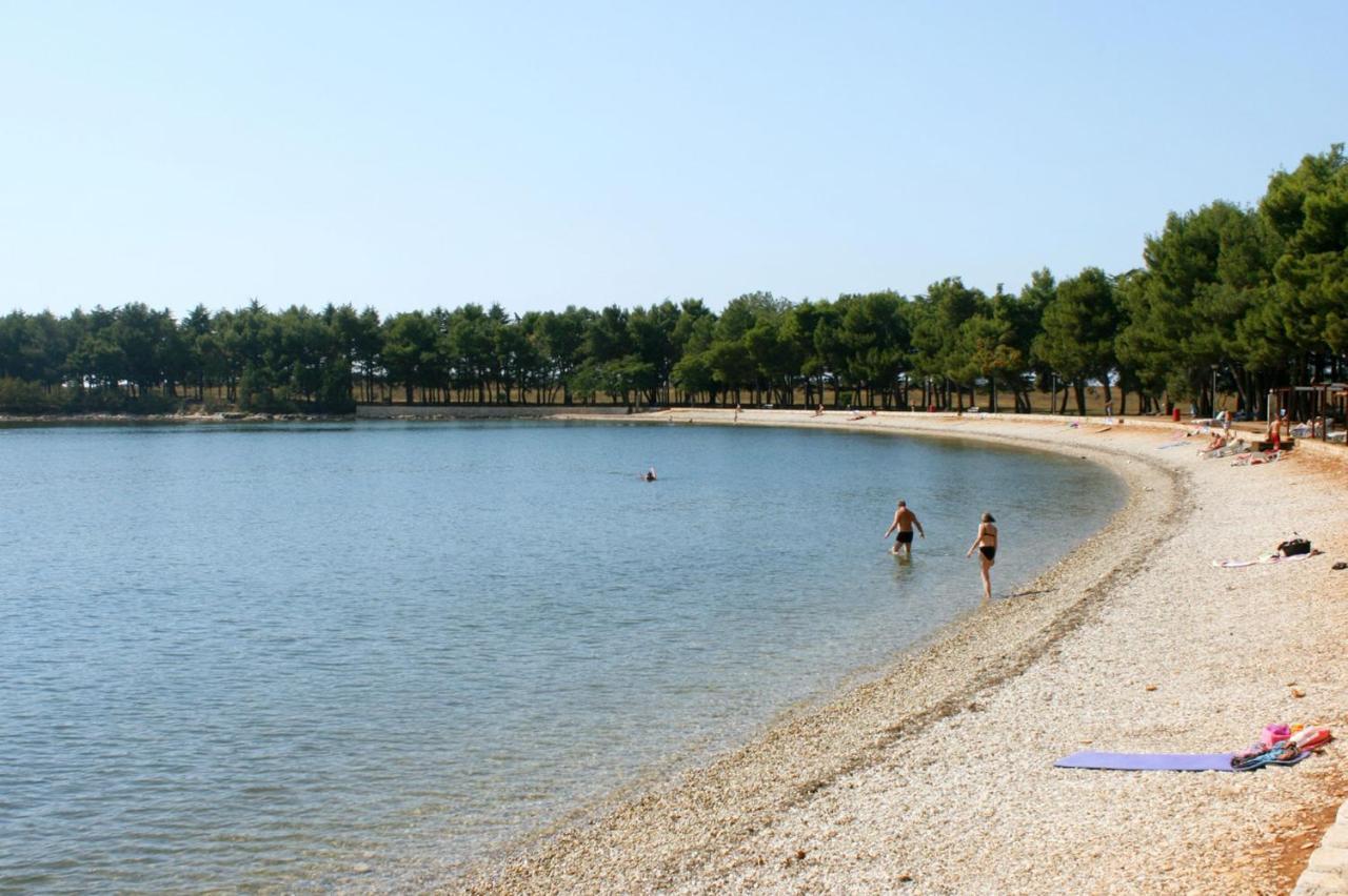 Apartments With A Swimming Pool Novigrad - 7078 Zewnętrze zdjęcie
