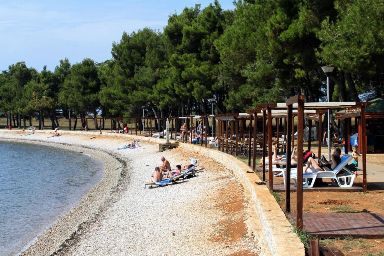 Apartments With A Swimming Pool Novigrad - 7078 Zewnętrze zdjęcie